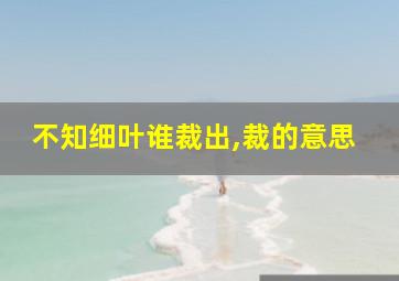 不知细叶谁裁出,裁的意思