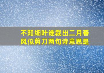 不知细叶谁裁出二月春风似剪刀两句诗意思是