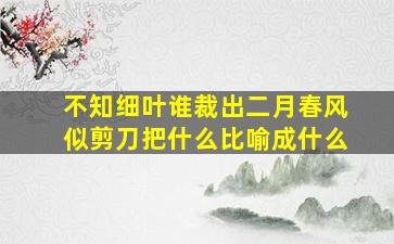 不知细叶谁裁出二月春风似剪刀把什么比喻成什么