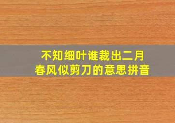 不知细叶谁裁出二月春风似剪刀的意思拼音