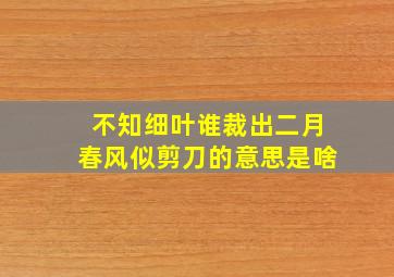 不知细叶谁裁出二月春风似剪刀的意思是啥