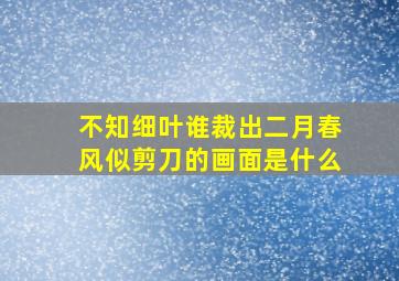 不知细叶谁裁出二月春风似剪刀的画面是什么