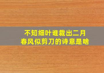 不知细叶谁裁出二月春风似剪刀的诗意是啥