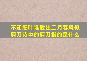 不知细叶谁裁出二月春风似剪刀诗中的剪刀指的是什么