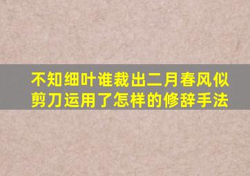 不知细叶谁裁出二月春风似剪刀运用了怎样的修辞手法