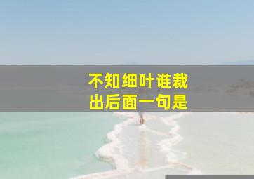 不知细叶谁裁出后面一句是