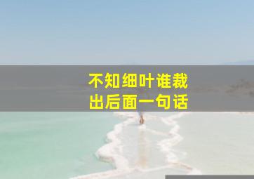 不知细叶谁裁出后面一句话