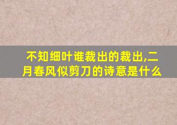 不知细叶谁裁出的裁出,二月春风似剪刀的诗意是什么