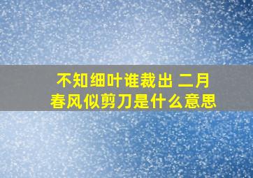 不知细叶谁裁出 二月春风似剪刀是什么意思