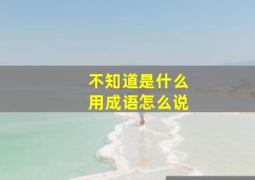 不知道是什么用成语怎么说