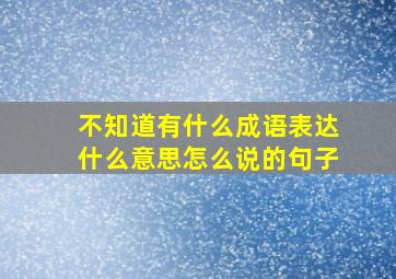 不知道有什么成语表达什么意思怎么说的句子