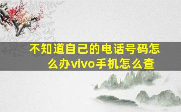 不知道自己的电话号码怎么办vivo手机怎么查