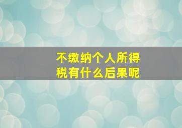 不缴纳个人所得税有什么后果呢