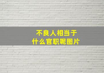 不良人相当于什么官职呢图片