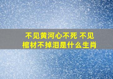 不见黄河心不死 不见棺材不掉泪是什么生肖