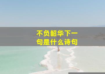 不负韶华下一句是什么诗句