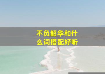 不负韶华和什么词搭配好听