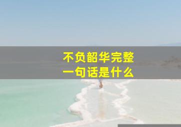 不负韶华完整一句话是什么