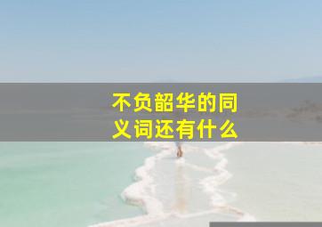 不负韶华的同义词还有什么