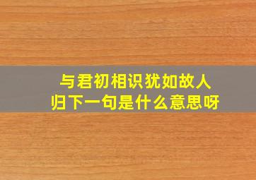 与君初相识犹如故人归下一句是什么意思呀