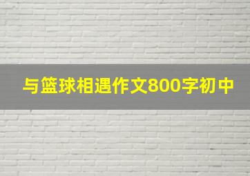 与篮球相遇作文800字初中