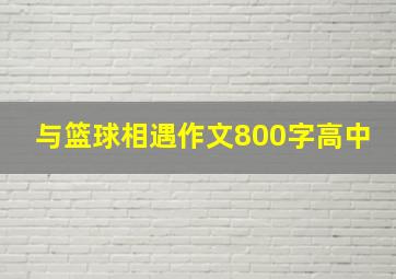 与篮球相遇作文800字高中