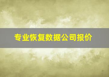 专业恢复数据公司报价