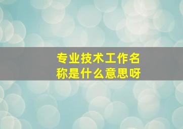 专业技术工作名称是什么意思呀