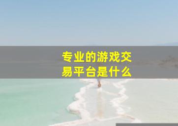 专业的游戏交易平台是什么