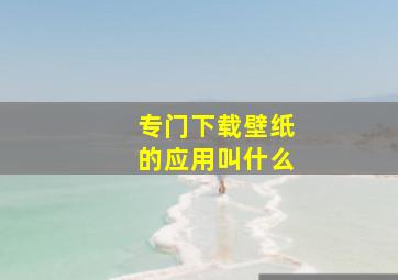 专门下载壁纸的应用叫什么