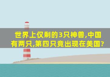 世界上仅剩的3只神兽,中国有两只,第四只竟出现在美国?