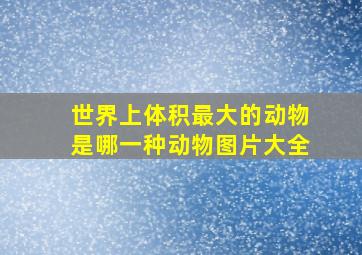 世界上体积最大的动物是哪一种动物图片大全