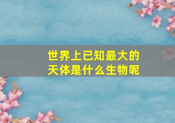 世界上已知最大的天体是什么生物呢