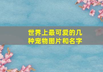 世界上最可爱的几种宠物图片和名字