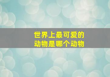 世界上最可爱的动物是哪个动物