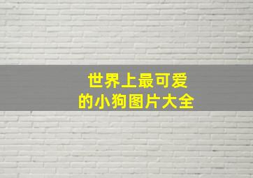 世界上最可爱的小狗图片大全