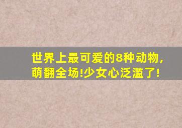 世界上最可爱的8种动物,萌翻全场!少女心泛滥了!