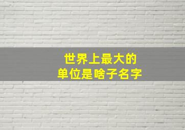 世界上最大的单位是啥子名字