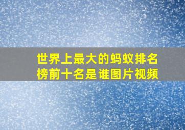 世界上最大的蚂蚁排名榜前十名是谁图片视频