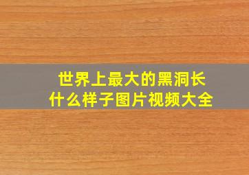 世界上最大的黑洞长什么样子图片视频大全