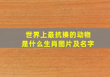 世界上最抗揍的动物是什么生肖图片及名字