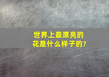 世界上最漂亮的花是什么样子的?