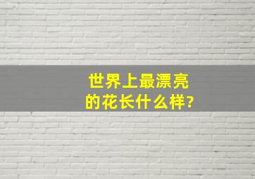 世界上最漂亮的花长什么样?