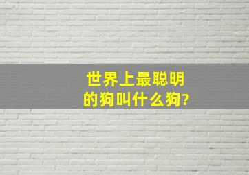 世界上最聪明的狗叫什么狗?