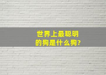 世界上最聪明的狗是什么狗?