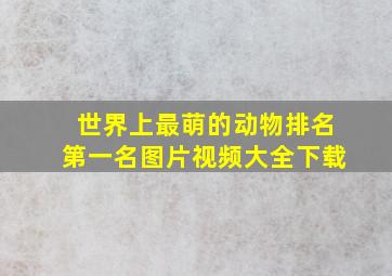 世界上最萌的动物排名第一名图片视频大全下载