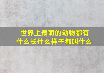 世界上最萌的动物都有什么长什么样子都叫什么