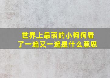 世界上最萌的小狗狗看了一遍又一遍是什么意思