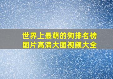 世界上最萌的狗排名榜图片高清大图视频大全