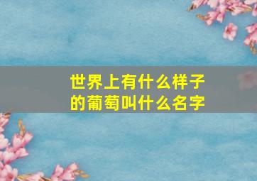 世界上有什么样子的葡萄叫什么名字